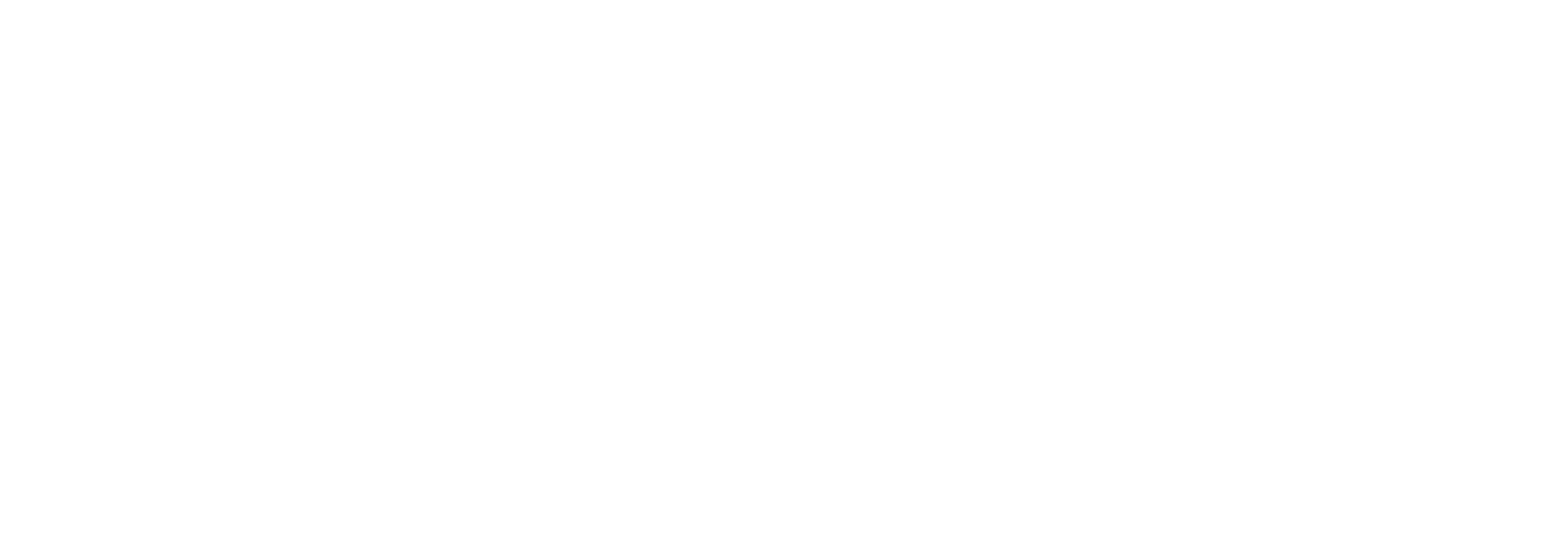Paramount-Engineering-logo